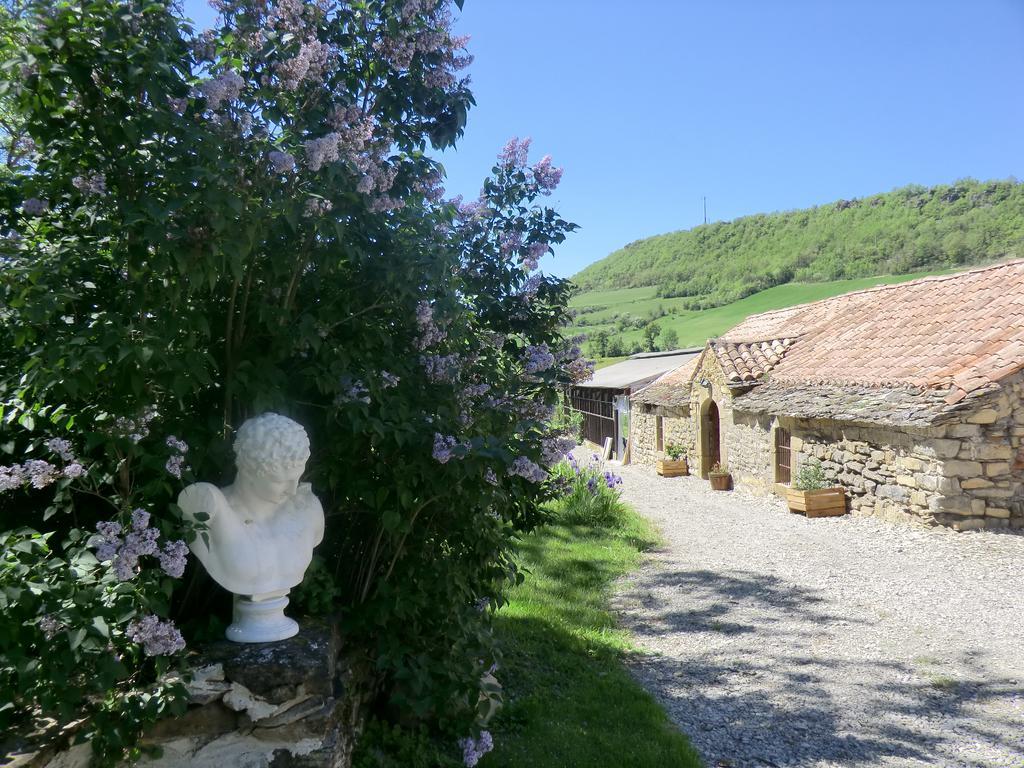 Domaine D'Alcapies Bed and Breakfast Saint-Jean-dʼAlcapiès Buitenkant foto