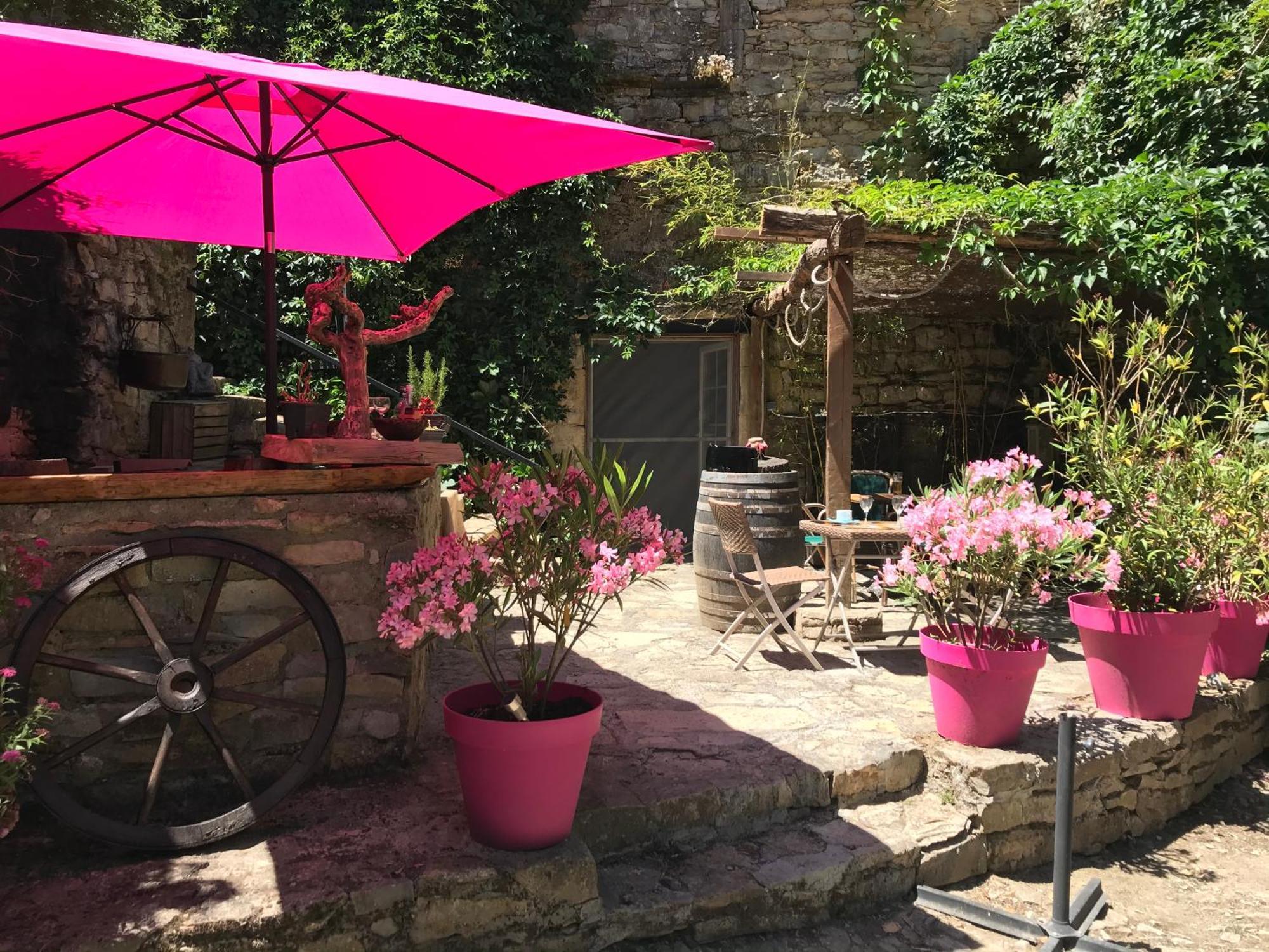Domaine D'Alcapies Bed and Breakfast Saint-Jean-dʼAlcapiès Buitenkant foto
