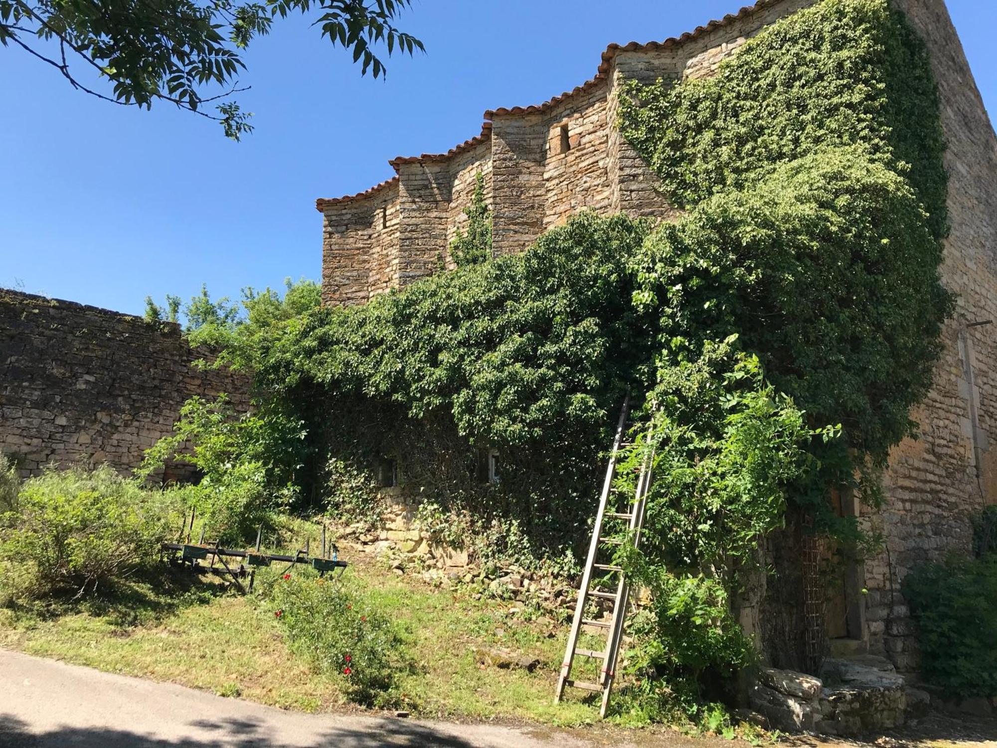 Domaine D'Alcapies Bed and Breakfast Saint-Jean-dʼAlcapiès Buitenkant foto